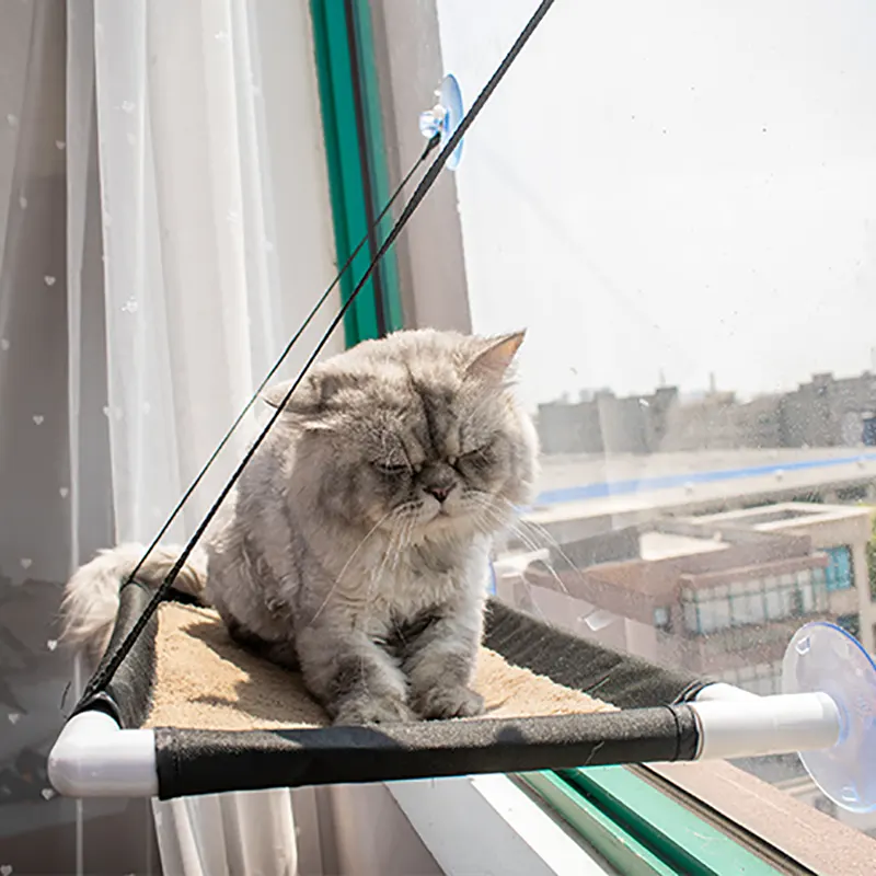 Suction Cup-style Pet Hanging Bed